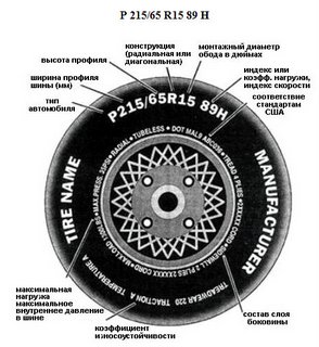 Какими могут быть шины по форме профиля